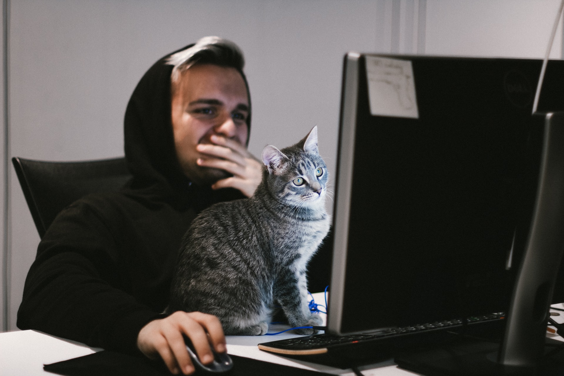 Как объективно определить свой уровень английского? Шкалы CEFR, ILR и GSE
