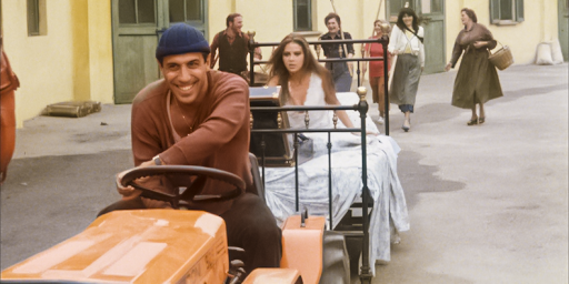 укрощение строптивого.png