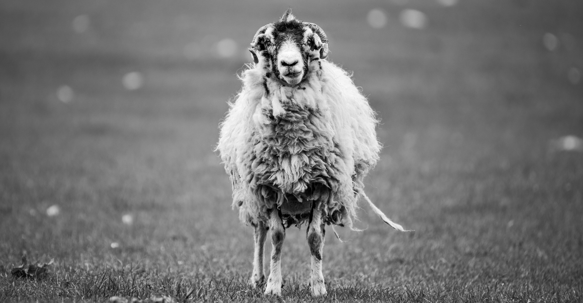 arnaud-mariat-pzrKFRo4RWc-unsplash.jpg