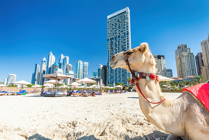 Dubai.jpg Dubai.jpg
