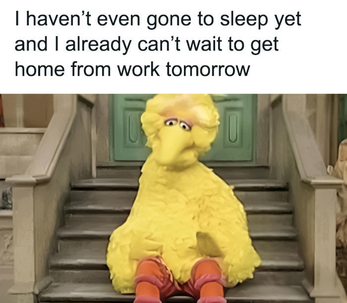 Английский глагол to have: все правила и области применения