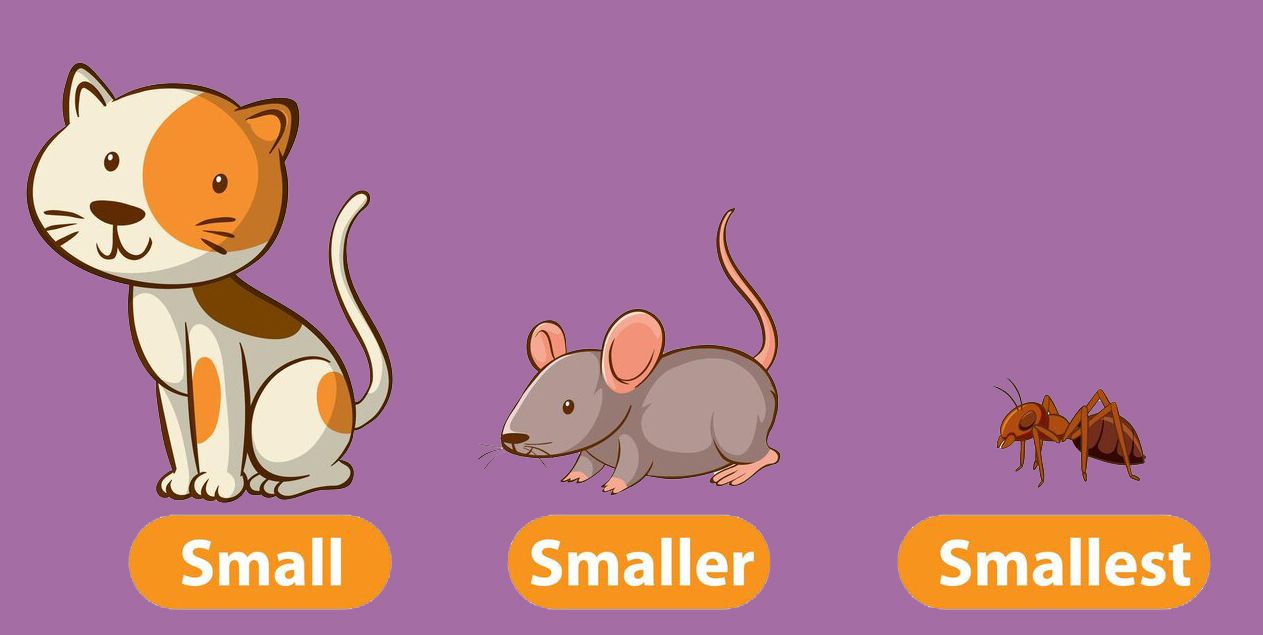 Английские прилагательные