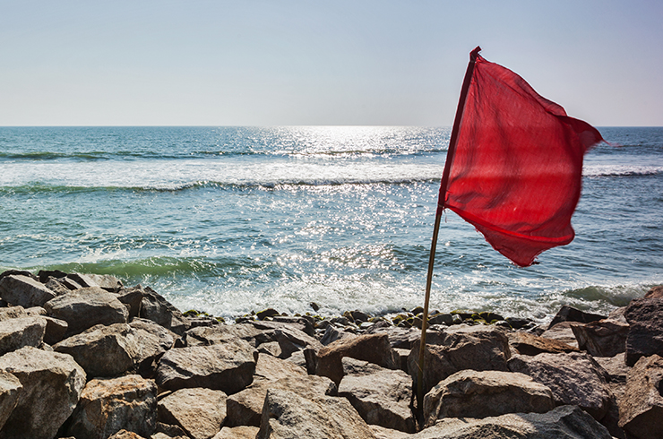 05 (3).jpg 05 (3).jpg