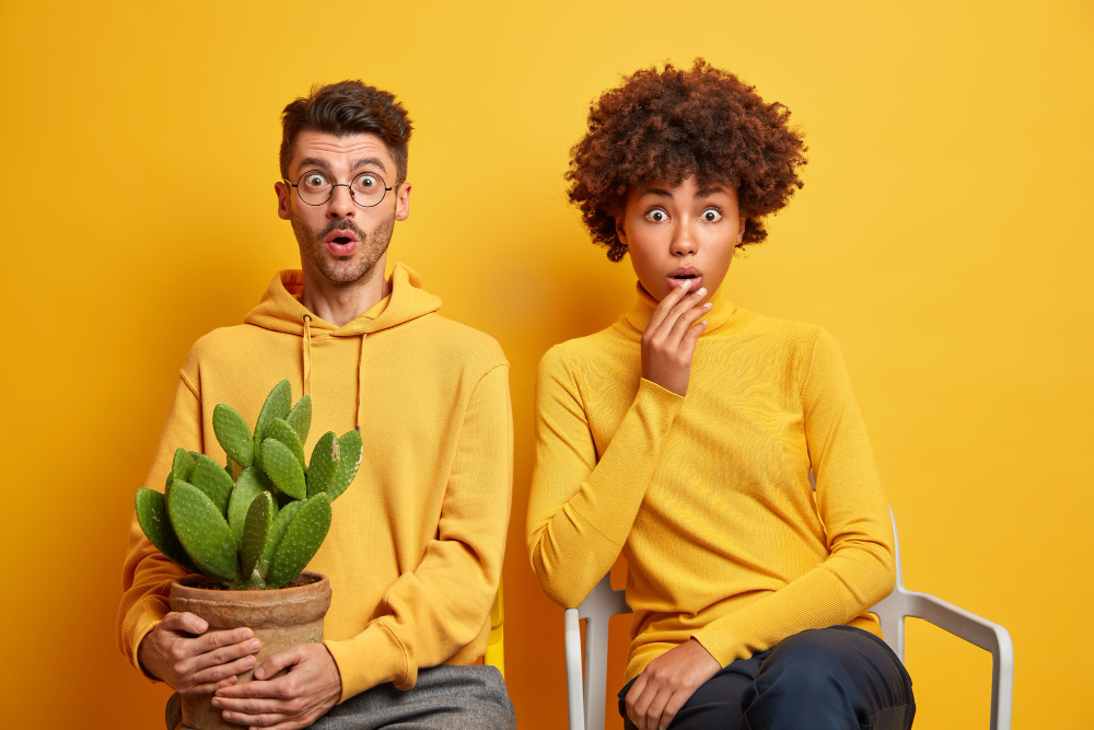 Английские глаголы состояния (Stative verbs)